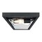Westinghouse Fixture Ceiling Outdr Flush-Mount 60W 2-Light Wyndham 12In Txt, Black Clear Sd Glass 6114300 - alternate 2